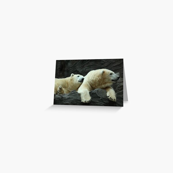 Item preview, Polar Bears: Snuggle designed and sold by Daniela Pintimalli.
