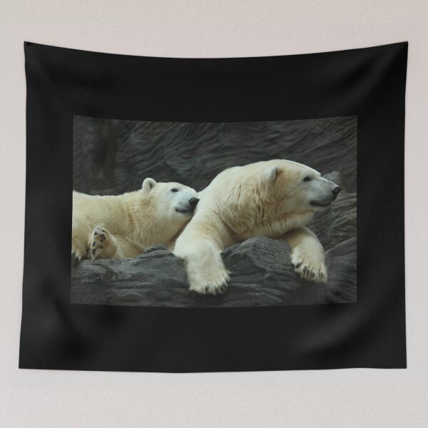 Item preview, Polar Bears: Snuggle designed and sold by TVD-Photography.