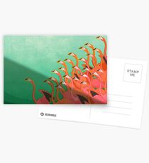 Fresko der Flamingos Postkarten