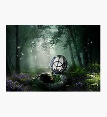 Chalice Well Photographic Print