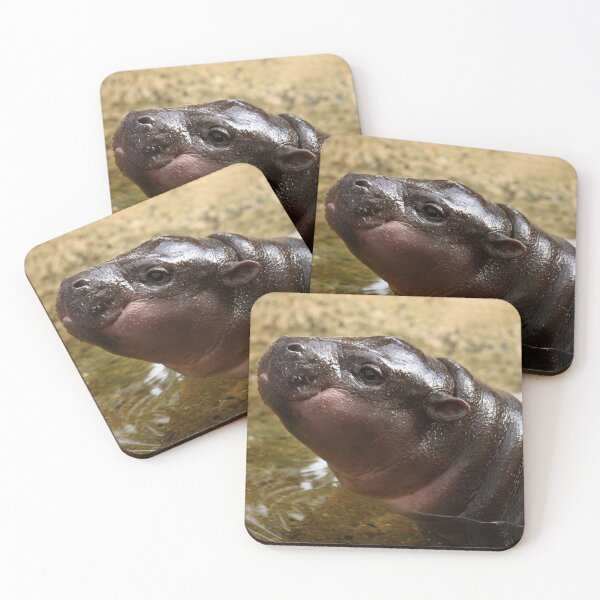 Item preview, Baby Hippo Portrait II designed and sold by TVD-Photography.