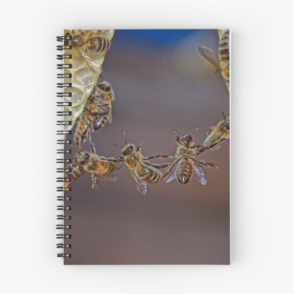 Item preview, Bee acrobatics designed and sold by Mark Bangert.