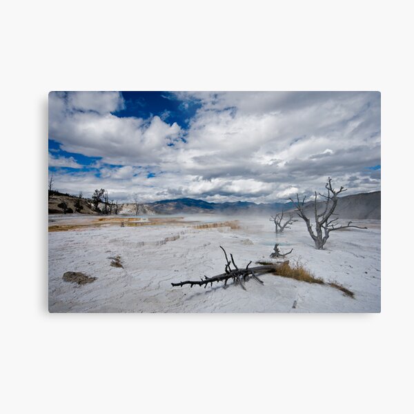 Yellowstone hot springs Metal Print