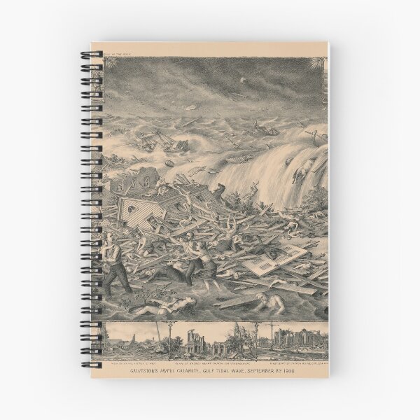 Item preview, Galveston's Awful Calamity Gulf Tidal Wave September 8th 1900 designed and sold by allhistory.