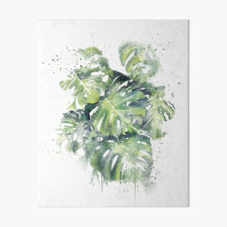 Monstera Plants- Abstract Tropical Art Art Board Print