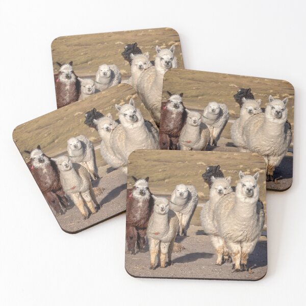 Item preview, Group of Alpacas designed and sold by Delphimages Art.