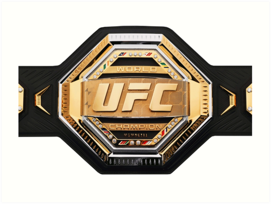 ufc belt 2019 - fortnite championship belt