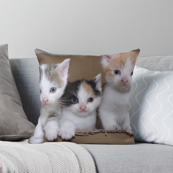 Item preview, Welcome in the Big, Big, Big World Kitties designed and sold by Jo Nijenhuis.