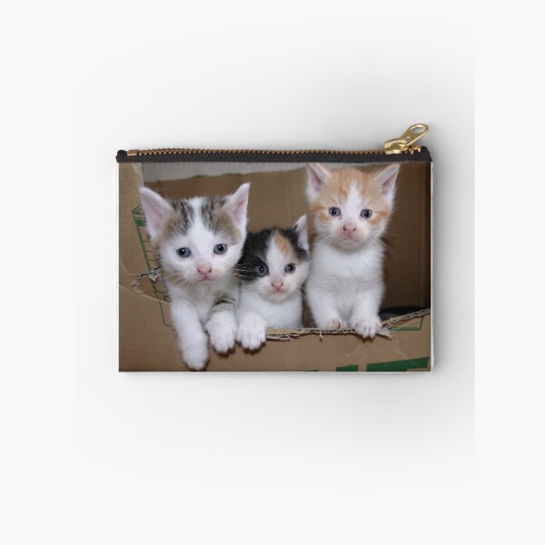 Item preview, Welcome in the Big, Big, Big World Kitties designed and sold by Jo Nijenhuis.