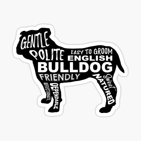 Englische Bulldogge Sticker