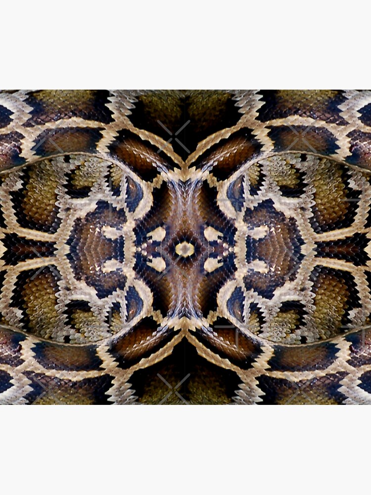 "Python" Sticker for Sale by Skaylaki | Redbubble