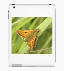 Butterfly,or moth ? iPad Case/Skin
