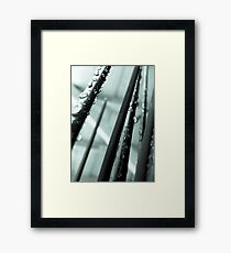 spikes of decorative grass Framed Print