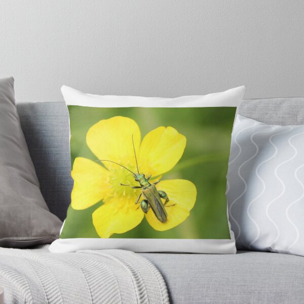 Item preview, Little beetle designed and sold by Dave646.