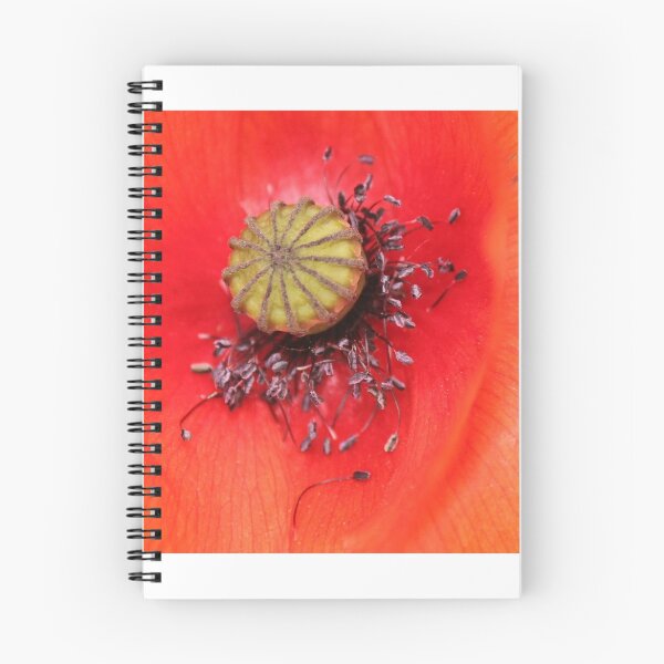 Artikelvorschau, Eine weitere Mohnblume entworfen und verkauft von Dave646.