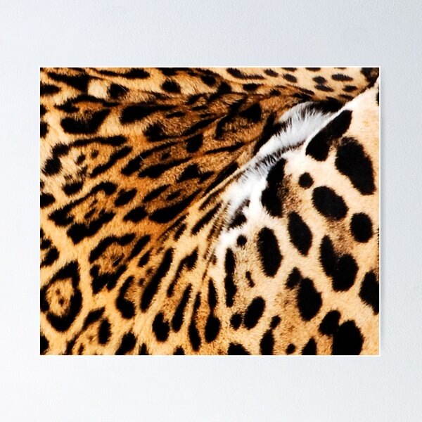Item preview, Jaguar designed and sold by Skaylaki.