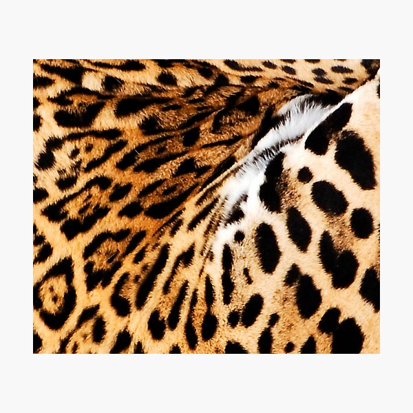 Item preview, Jaguar designed and sold by Skaylaki.