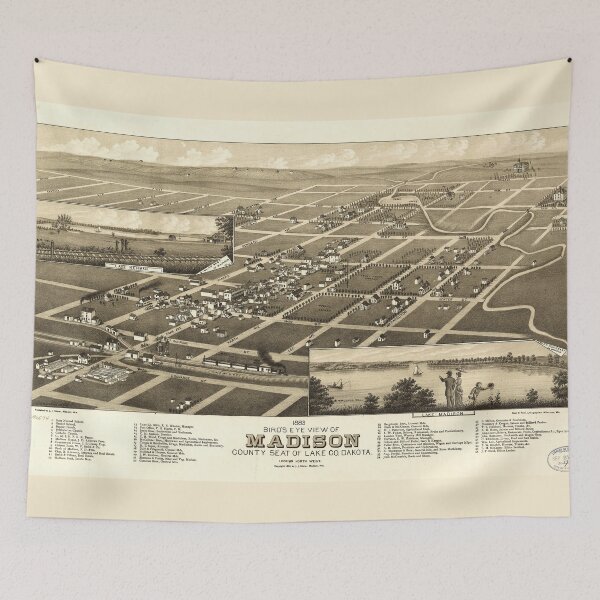 Item preview, Bird's Eye View of Madison Lake County South Dakota (1883) designed and sold by allhistory.