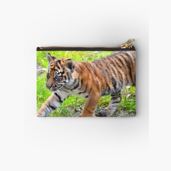 Item preview, Sumatran Baby Tiger On the Run designed and sold by richardbryce.