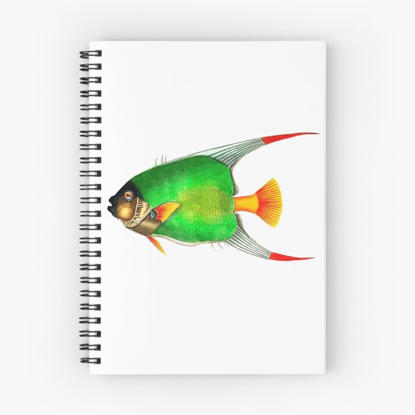 Item preview, Heritage Library-4-COLORFUL FISH designed and sold by Infopreneur123.