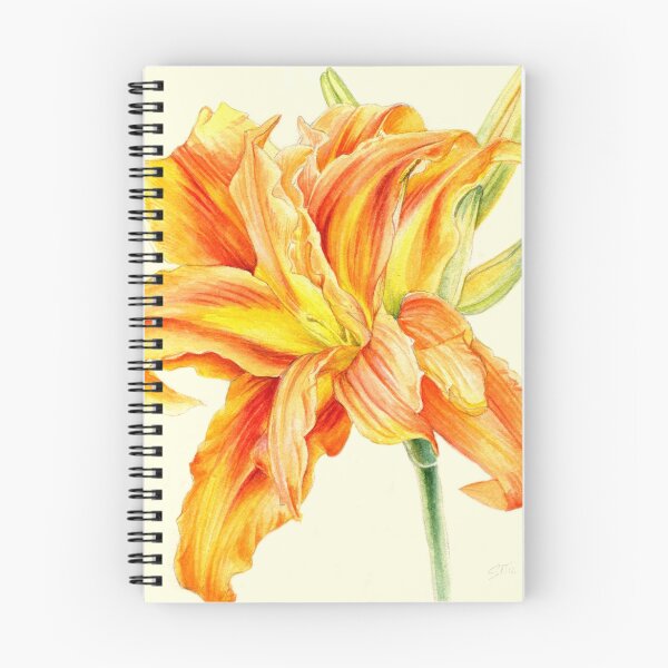 Item preview, Double Daylily Hemerocallis orange watercolor designed and sold by Sarah Trett.