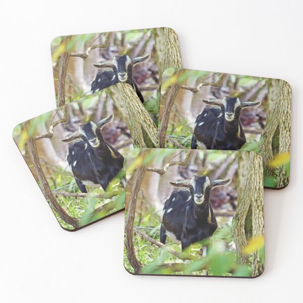 Item preview, Smiling Goat designed and sold by Frankie Cat Photography.