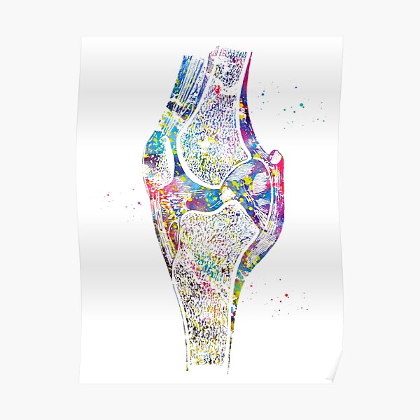 Genou Poster