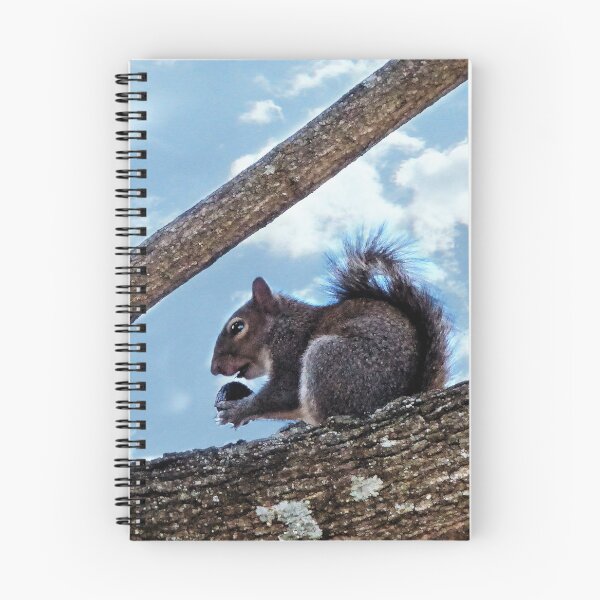 Item preview, Enjoying a Nut designed and sold by Frankie Cat Photography.