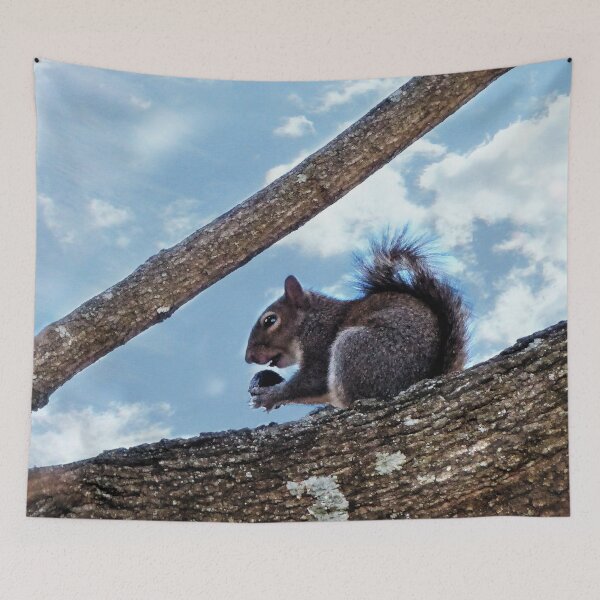 Item preview, Enjoying a Nut designed and sold by Frankie Cat Photography.