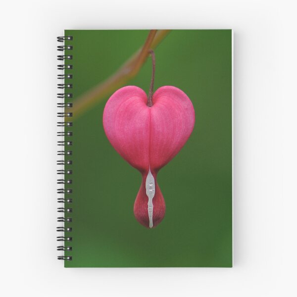 Item preview, Dicentra spectabilis designed and sold by JHRphotoART.