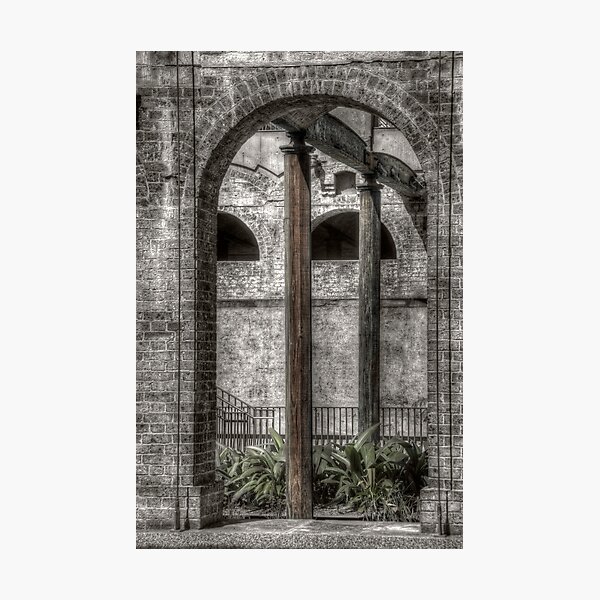 Paddington Reservoir Gardens Photographic Print