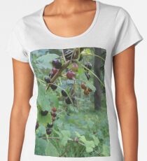 Black Currant bush Premium Scoop T-Shirt