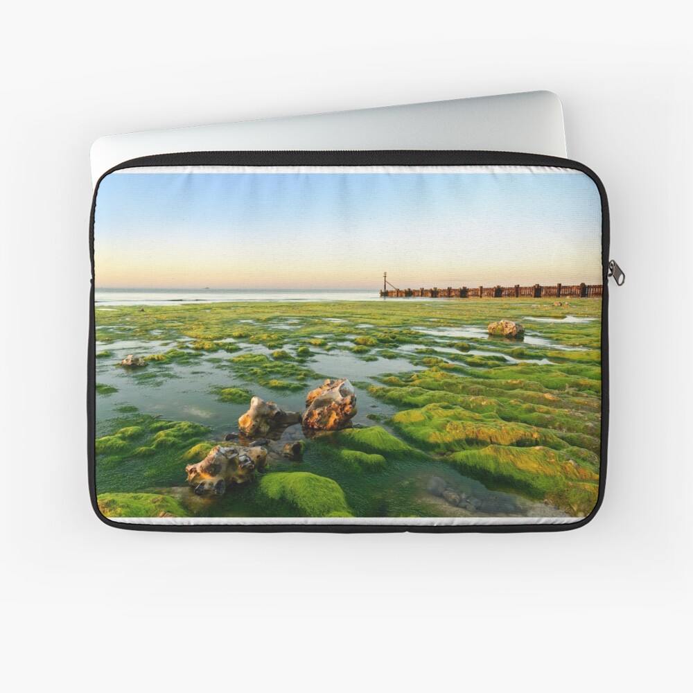 Item preview, Laptop Sleeve designed and sold by sjbowen.