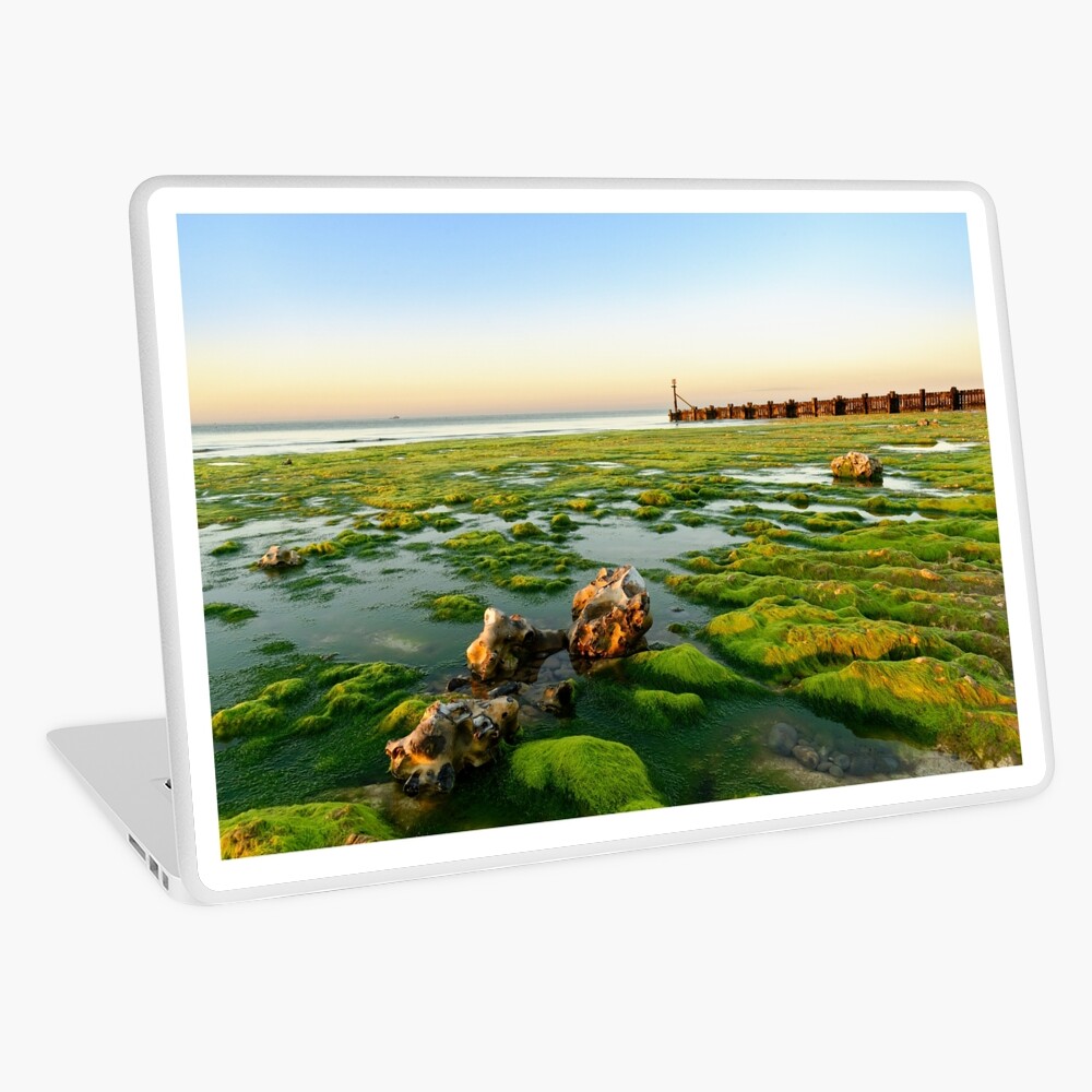 Item preview, Laptop Skin designed and sold by sjbowen.