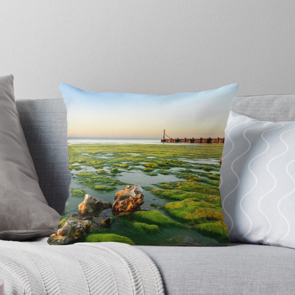 Item preview, Throw Pillow designed and sold by sjbowen.