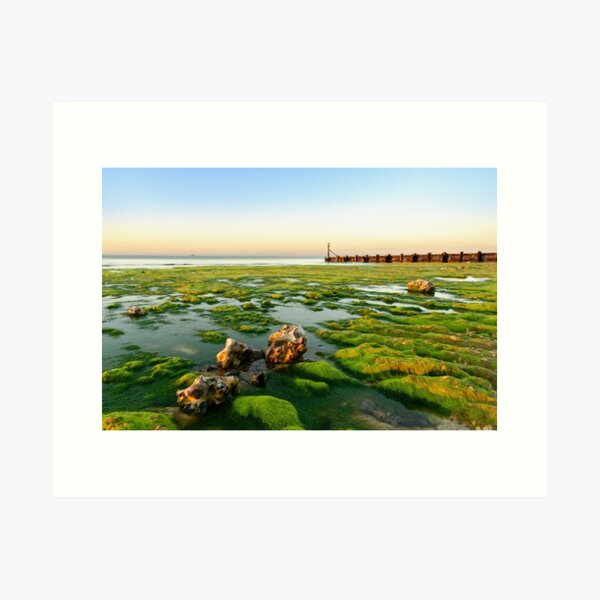 Green Shore, Beeston Regis, North Norfolk Coast Art Print