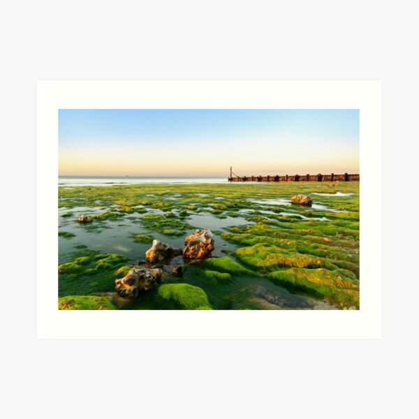 Art Print