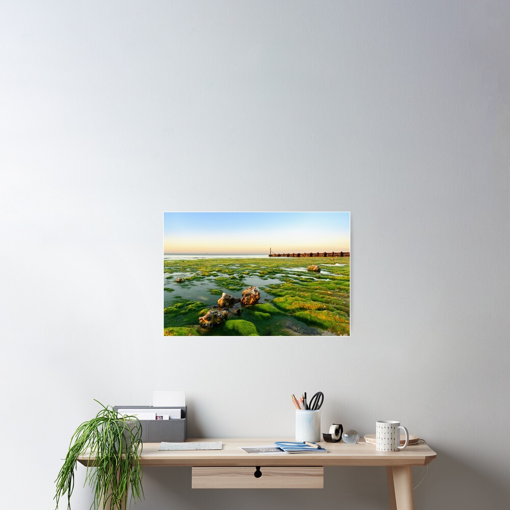 Item preview, Poster designed and sold by sjbowen.