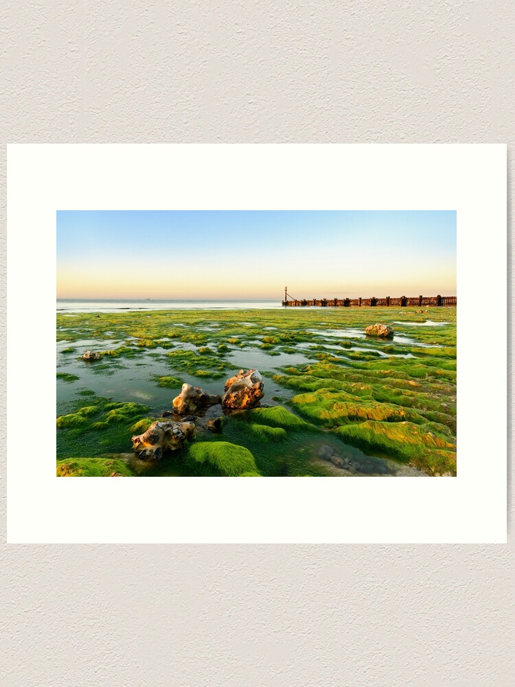 Thumbnail 1 of 3, Art Print, Green Shore, Beeston Regis, North Norfolk Coast designed and sold by sjbowen.