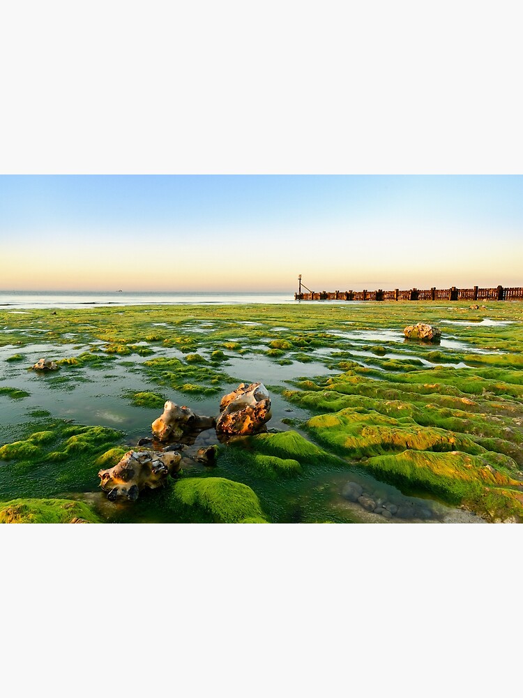 Thumbnail 3 of 3, Art Print, Green Shore, Beeston Regis, North Norfolk Coast designed and sold by sjbowen.