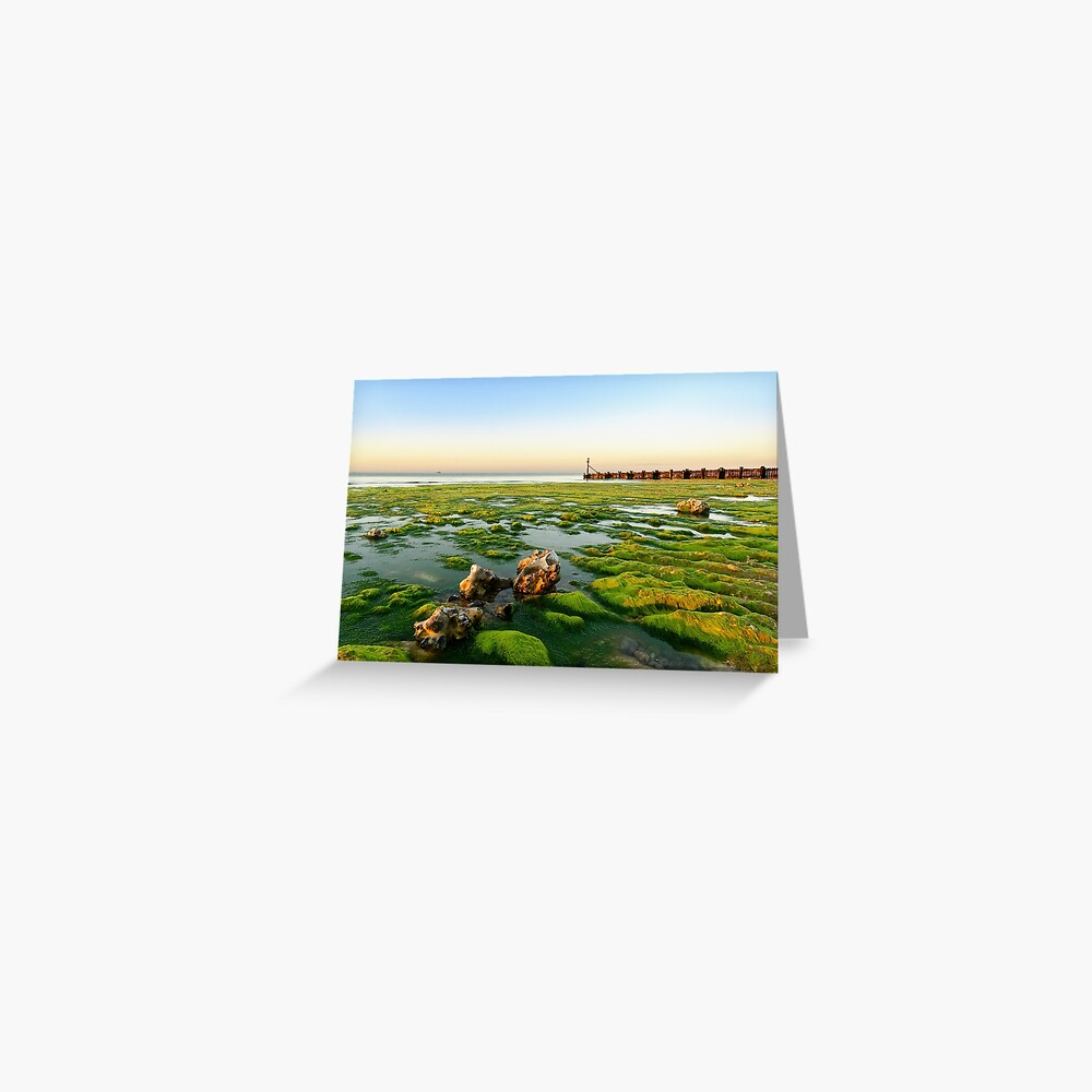 Item preview, Greeting Card designed and sold by sjbowen.