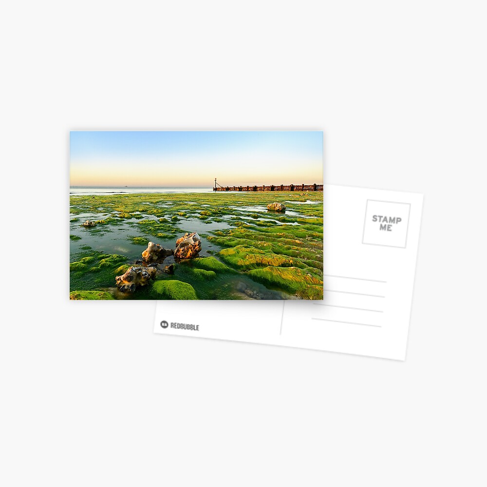 Item preview, Postcard designed and sold by sjbowen.
