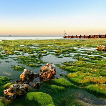 Artwork thumbnail, Green Shore, Beeston Regis, North Norfolk Coast by Simon Bowen