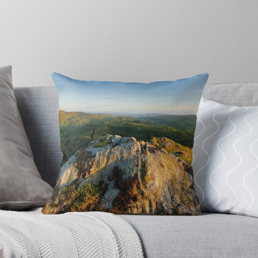 Item preview, Throw Pillow designed and sold by sjbowen.