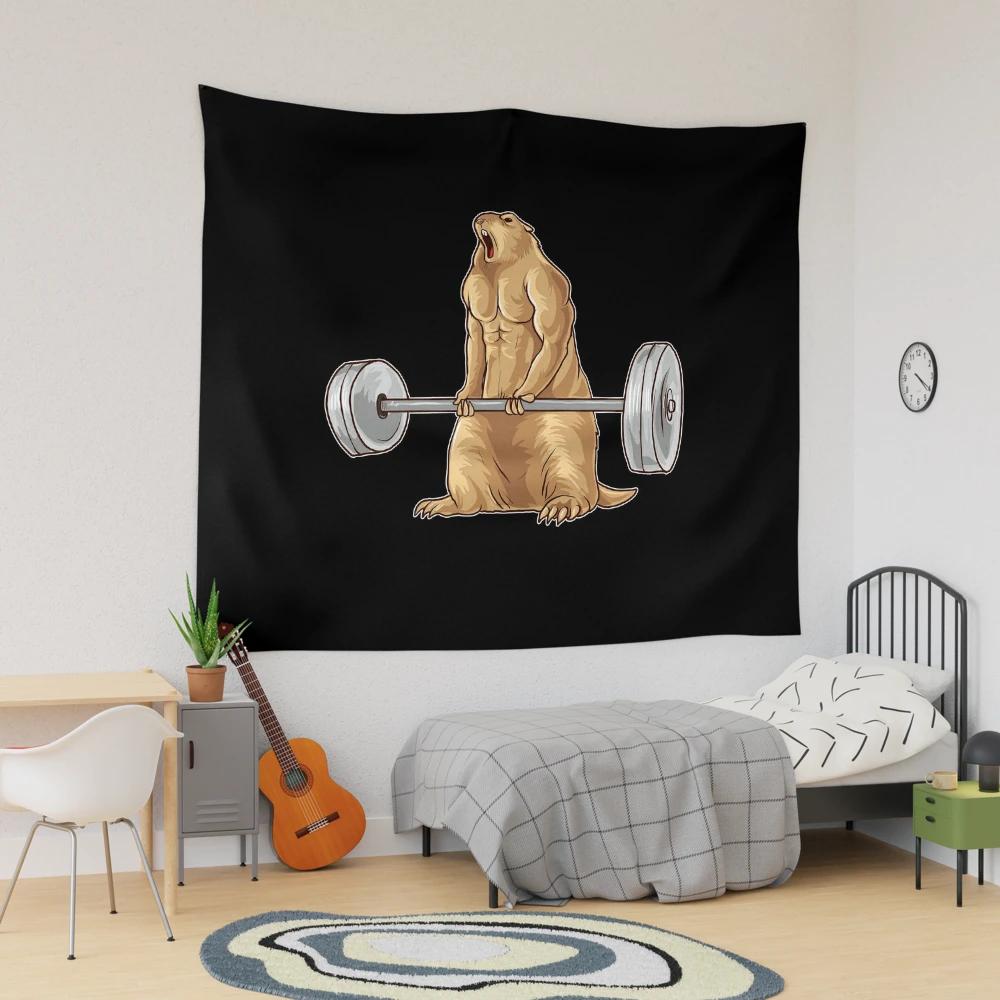 https://ih1.redbubble.net/image.730469955.7009/ur,tapestry_lifestyle_dorm_large,square,1000x1000.webp