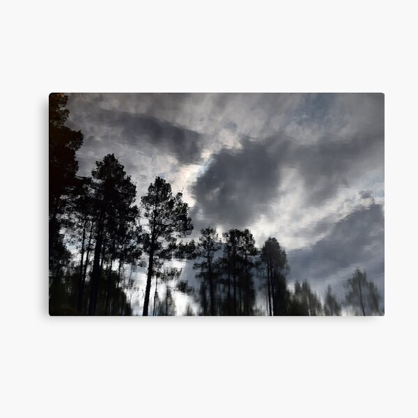 Metal Print