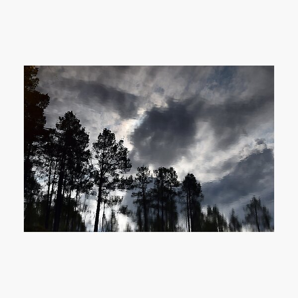 Photographic Print