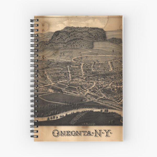 Item preview, Bird's Eye View Map of Oneonta New York (1884) designed and sold by allhistory.