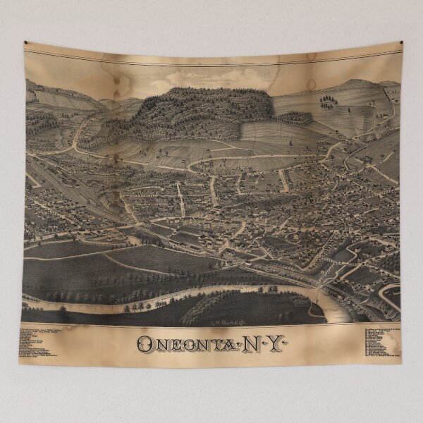 Item preview, Bird's Eye View Map of Oneonta New York (1884) designed and sold by allhistory.
