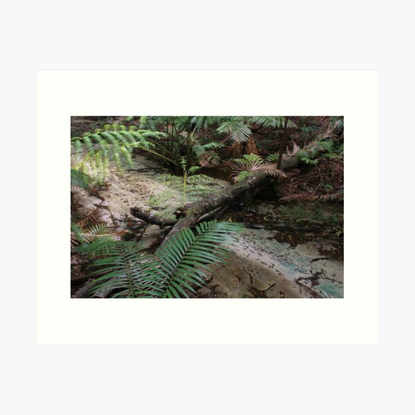 Item preview, Central Station, Wanggoolba Creek  designed and sold by smallan.